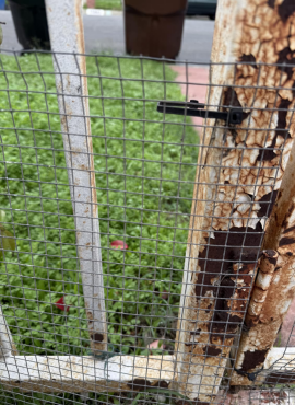 企业微信截图_1765439315675