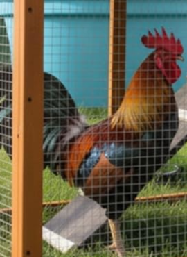 企业微信截图_17654393269156