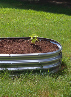 企业微信截图_17654393318696